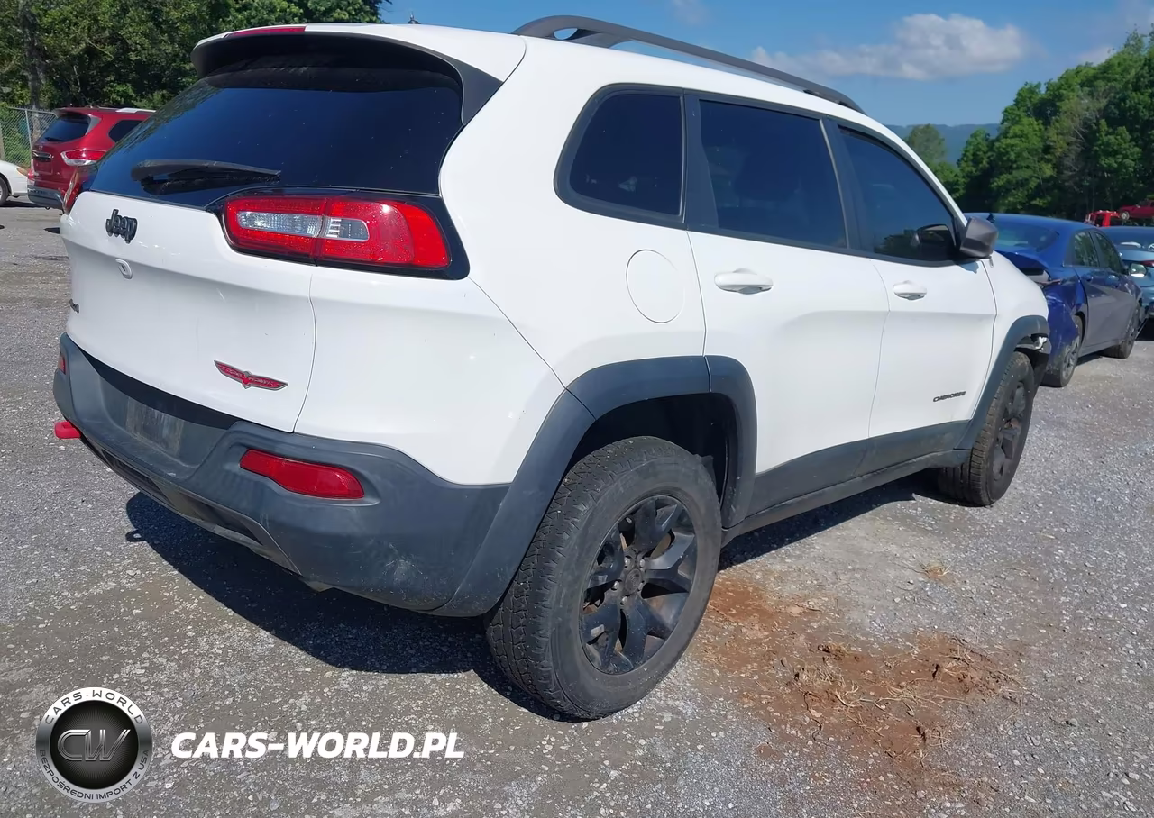 2016 Jeep Cherokee Trailhawk VIN:1C4PJMBS8GW145361 - 4