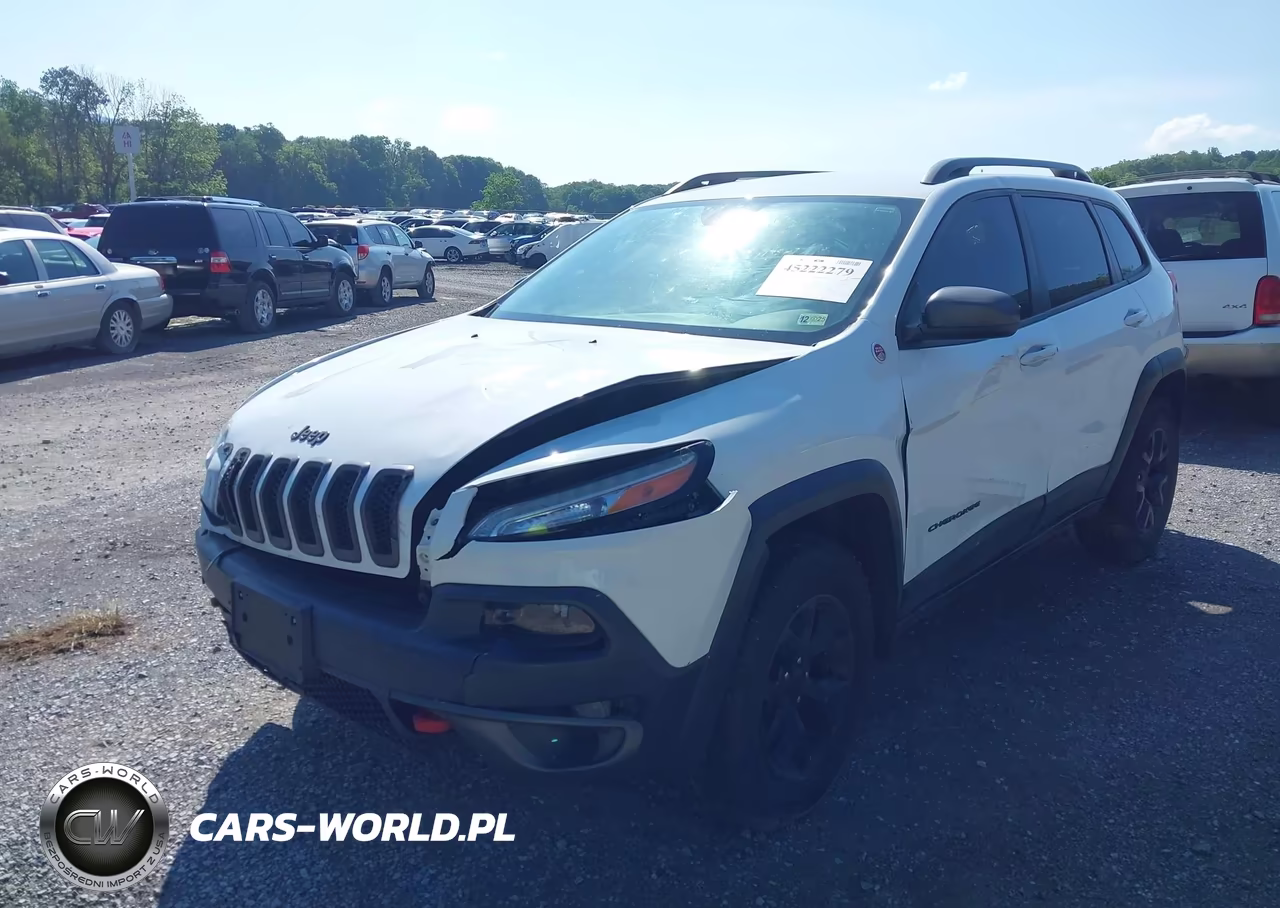 2016 Jeep Cherokee Trailhawk VIN:1C4PJMBS8GW145361 - 6