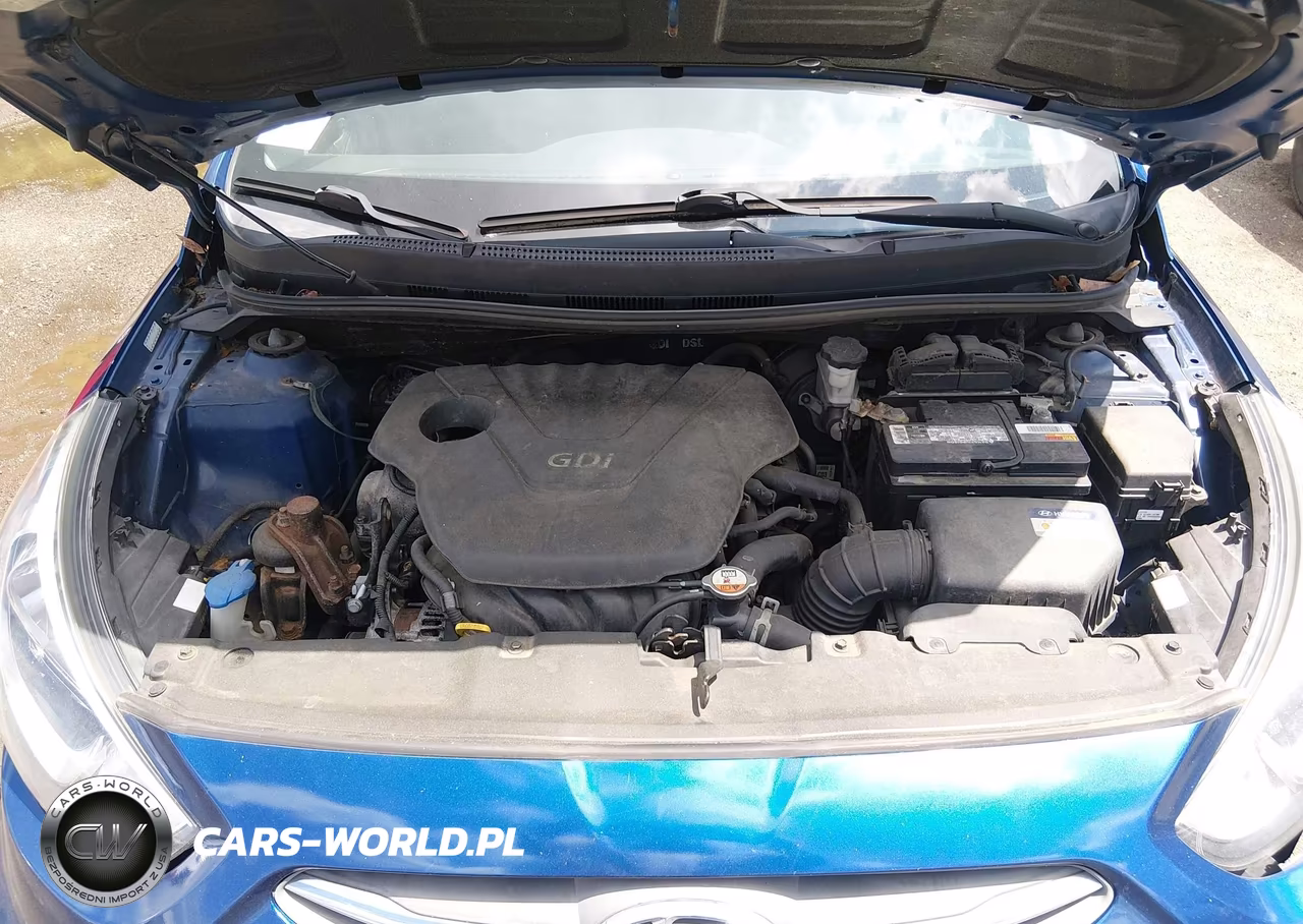 2017 Hyundai Accent Se VIN:KMHCT5AE8HU316404 - 10