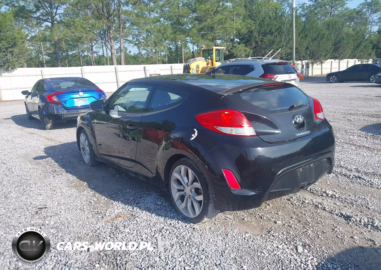 2013 Hyundai Veloster Base W-Black VIN:KMHTC6AD8DU147914 - 3