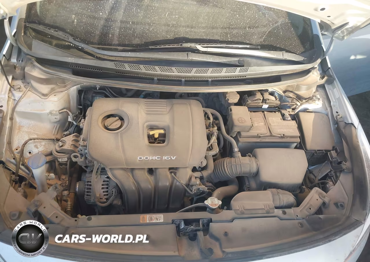 2017 Kia Forte Lx VIN:3KPFK4A75HE125845 - 10