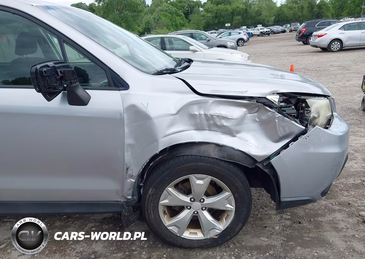 2014 Subaru Forester 2.5I Premium VIN:JF2SJAECXEH491346 - 6