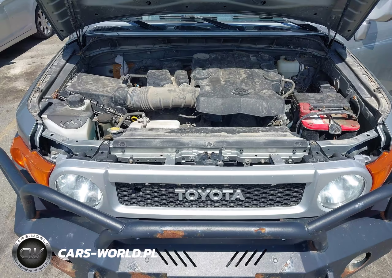 2012 Toyota Fj Cruiser VIN:JTEBU4BF1CK138317 - 10