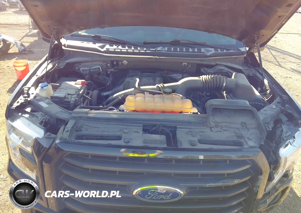 2017 Ford F-150 Xl VIN:1FTEX1EP5HFC19171 - 10