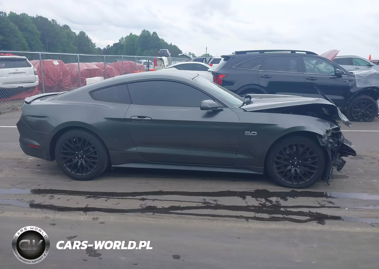 2015 Ford Mustang Gt VIN:1FA6P8CF0F5354073 - 14