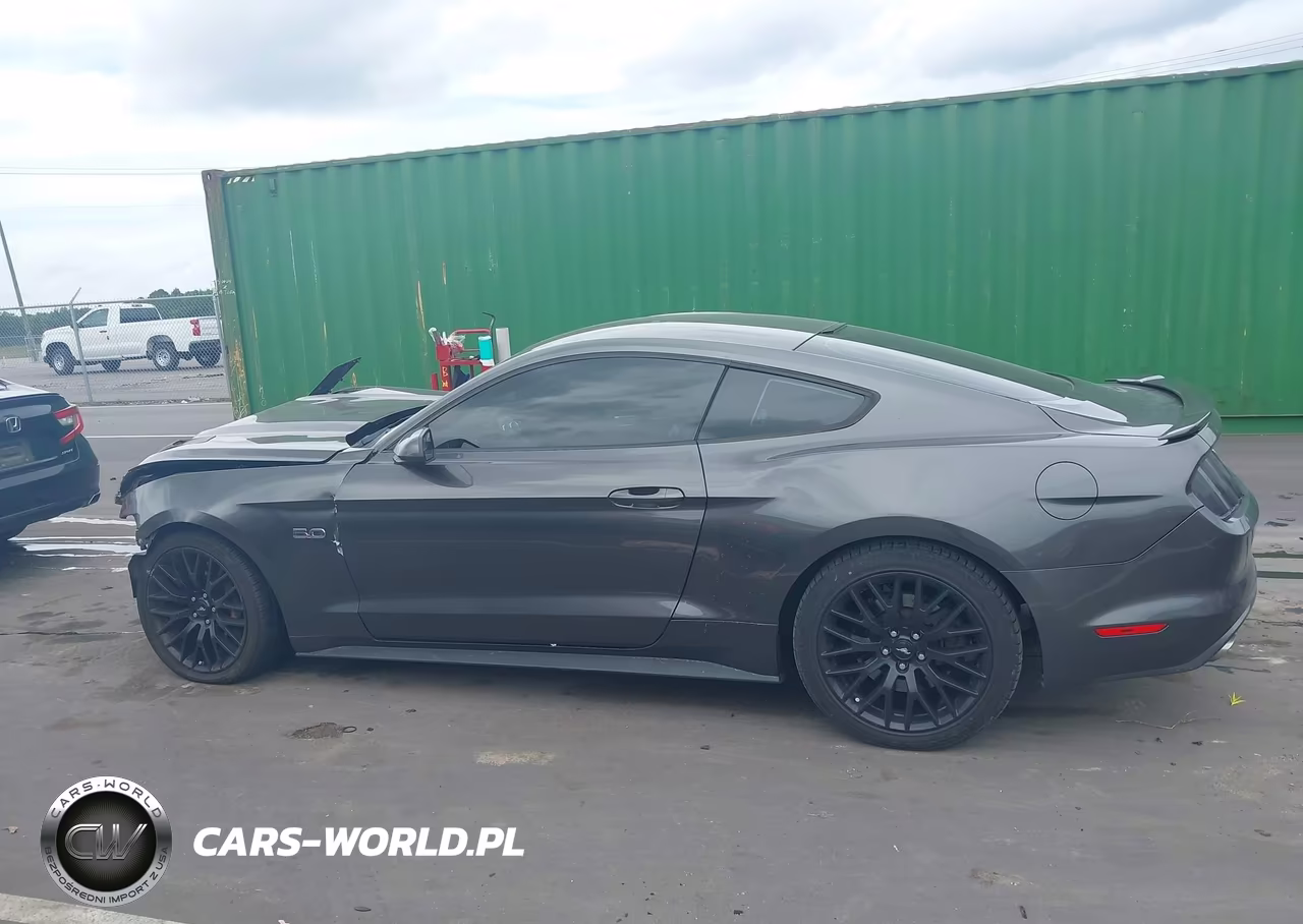 2015 Ford Mustang Gt VIN:1FA6P8CF0F5354073 - 15