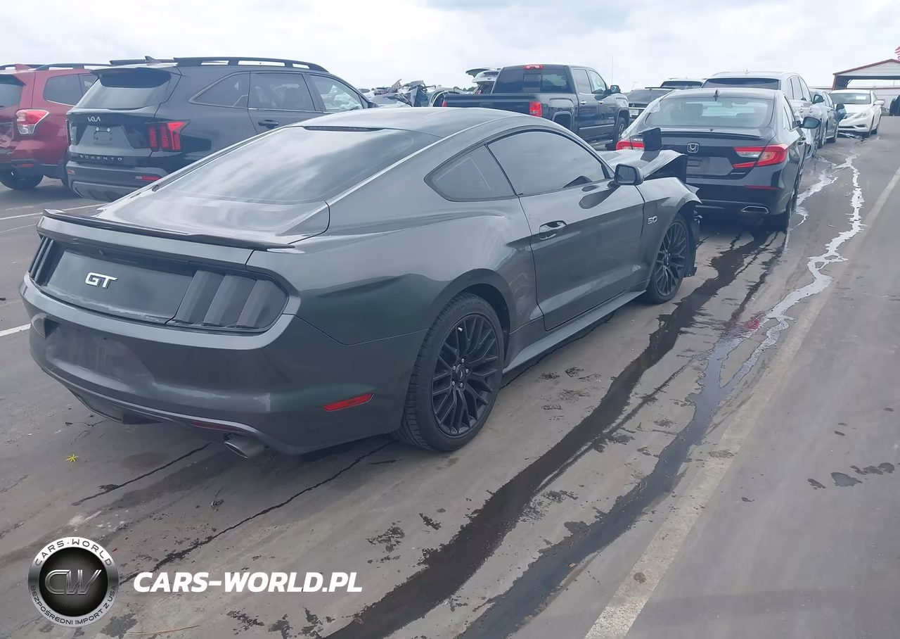 2015 Ford Mustang Gt VIN:1FA6P8CF0F5354073 - 4