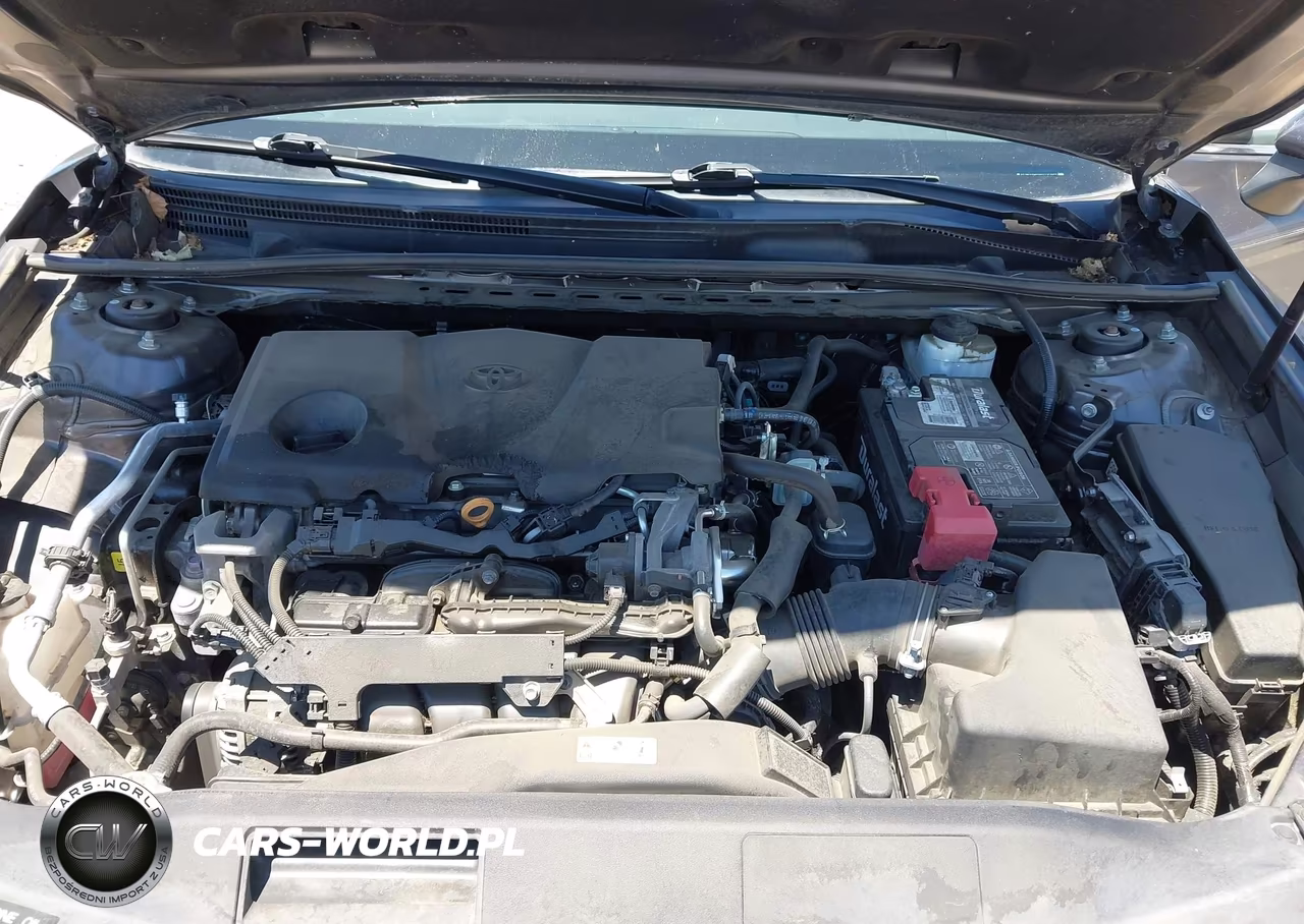 2019 Toyota Camry Le VIN:4T1B11HK8KU775963 - 10