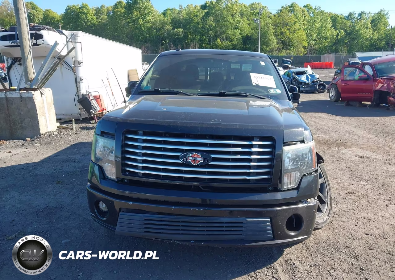 2011 Ford F-150 Harley-Davidson VIN:1FTFW1E65BFA37489 - 12