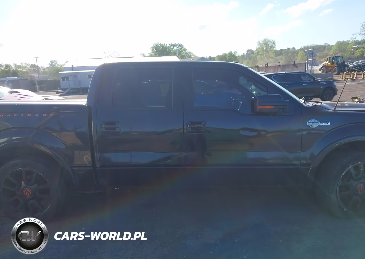 2011 Ford F-150 Harley-Davidson VIN:1FTFW1E65BFA37489 - 13