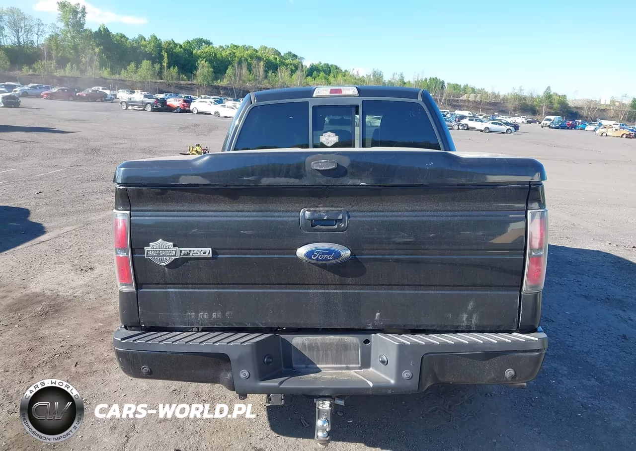 2011 Ford F-150 Harley-Davidson VIN:1FTFW1E65BFA37489 - 16