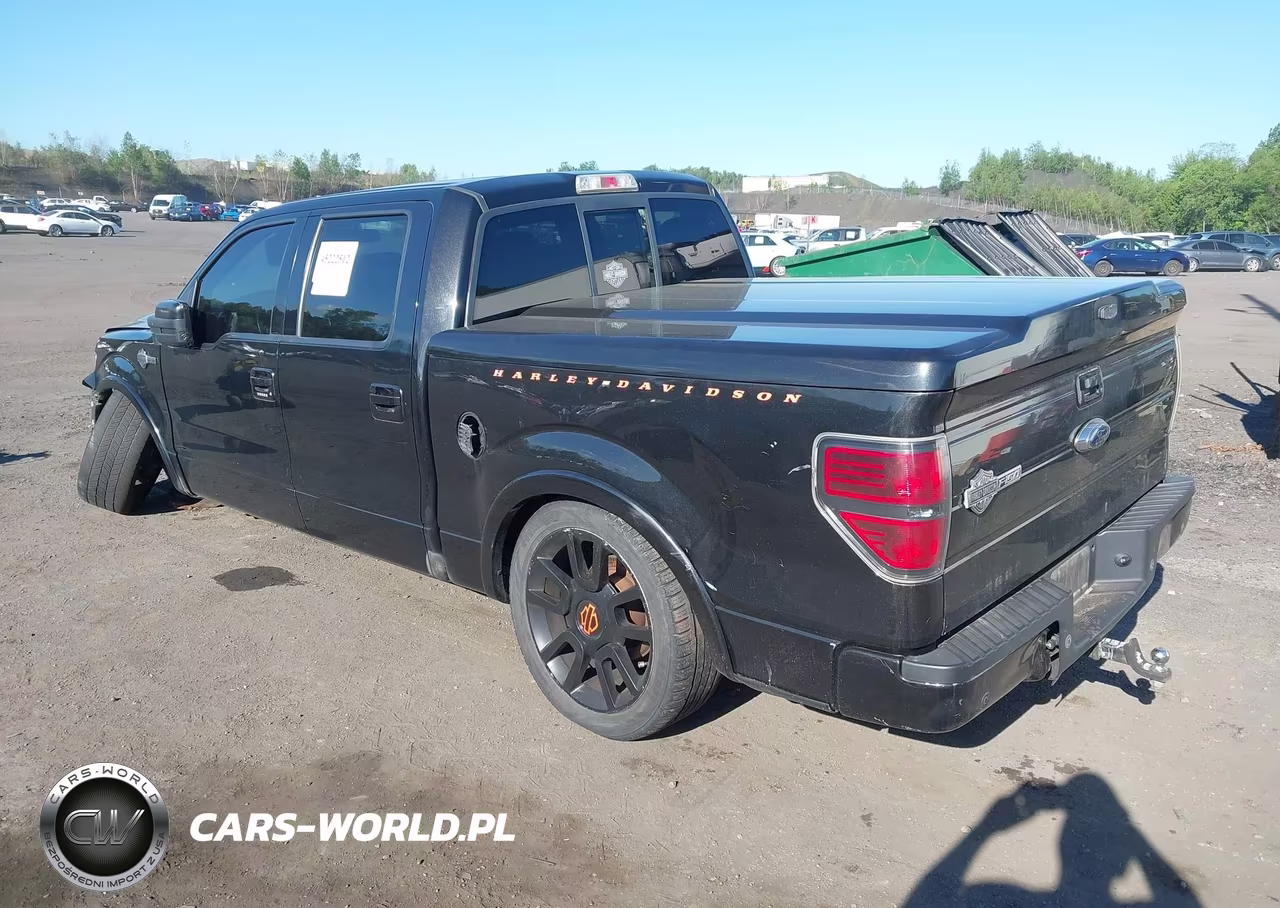 2011 Ford F-150 Harley-Davidson VIN:1FTFW1E65BFA37489 - 3
