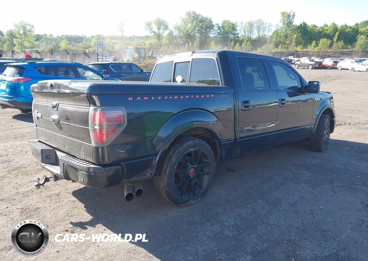 2011 Ford F-150 Harley-Davidson VIN:1FTFW1E65BFA37489 - 4