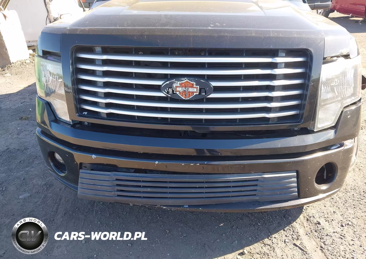 2011 Ford F-150 Harley-Davidson VIN:1FTFW1E65BFA37489 - 6