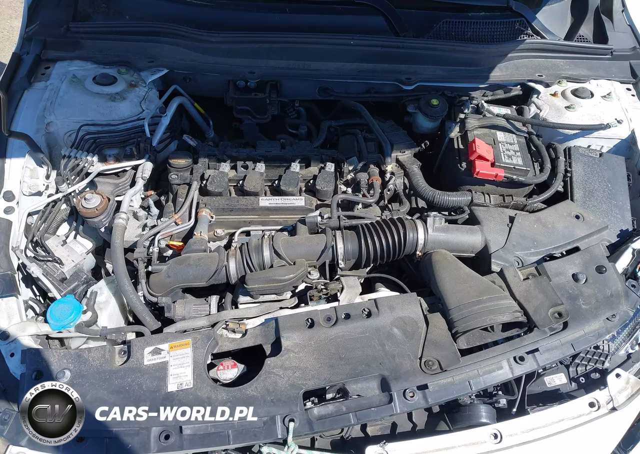 2019 Honda Accord Lx VIN:1HGCV1F18KA172943 - 10