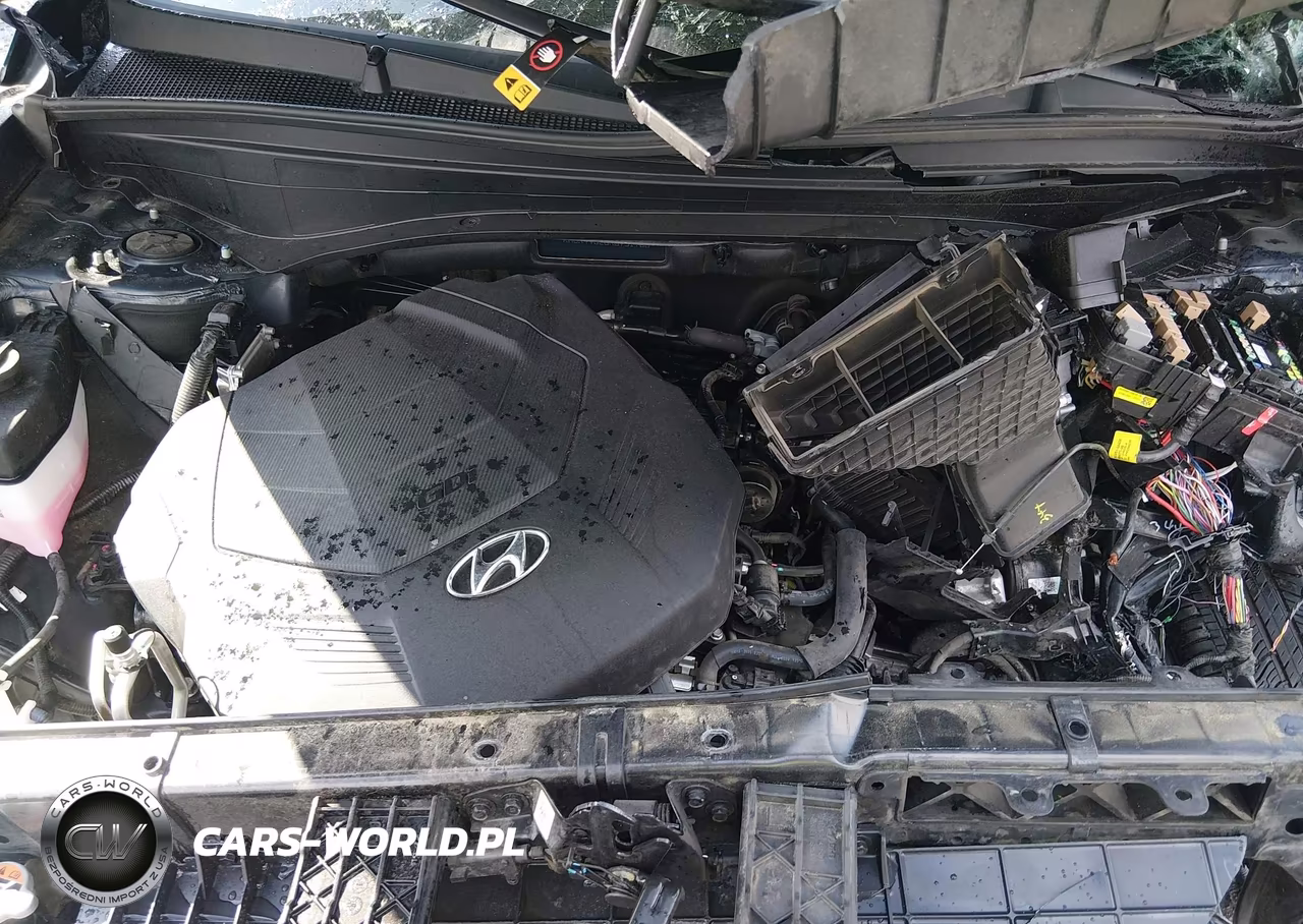 2024 Hyundai Palisade Sel VIN:KM8R44GE6RU791768 - 10