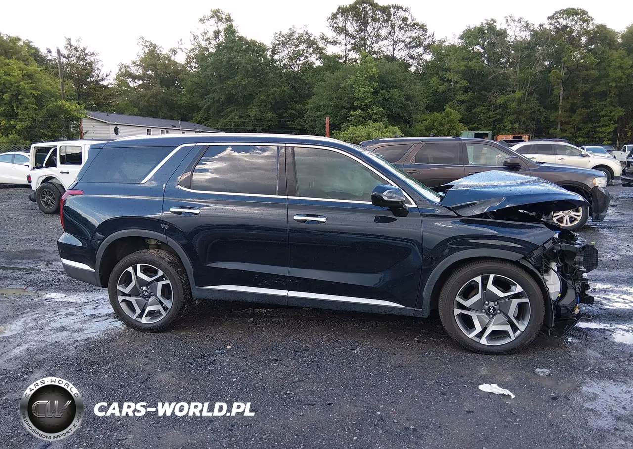 2024 Hyundai Palisade Sel VIN:KM8R44GE6RU791768 - 13