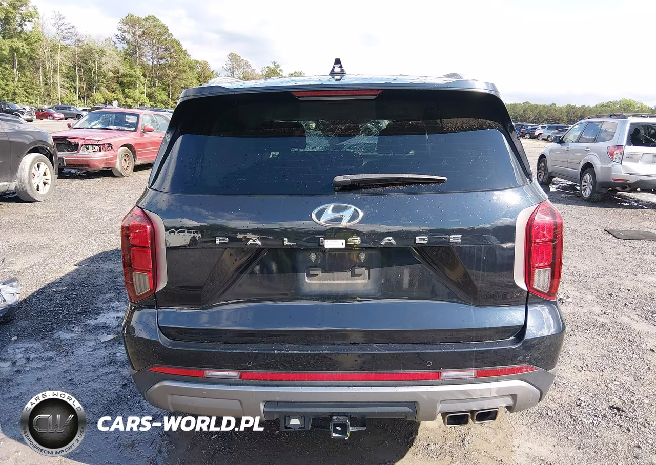 2024 Hyundai Palisade Sel VIN:KM8R44GE6RU791768 - 16