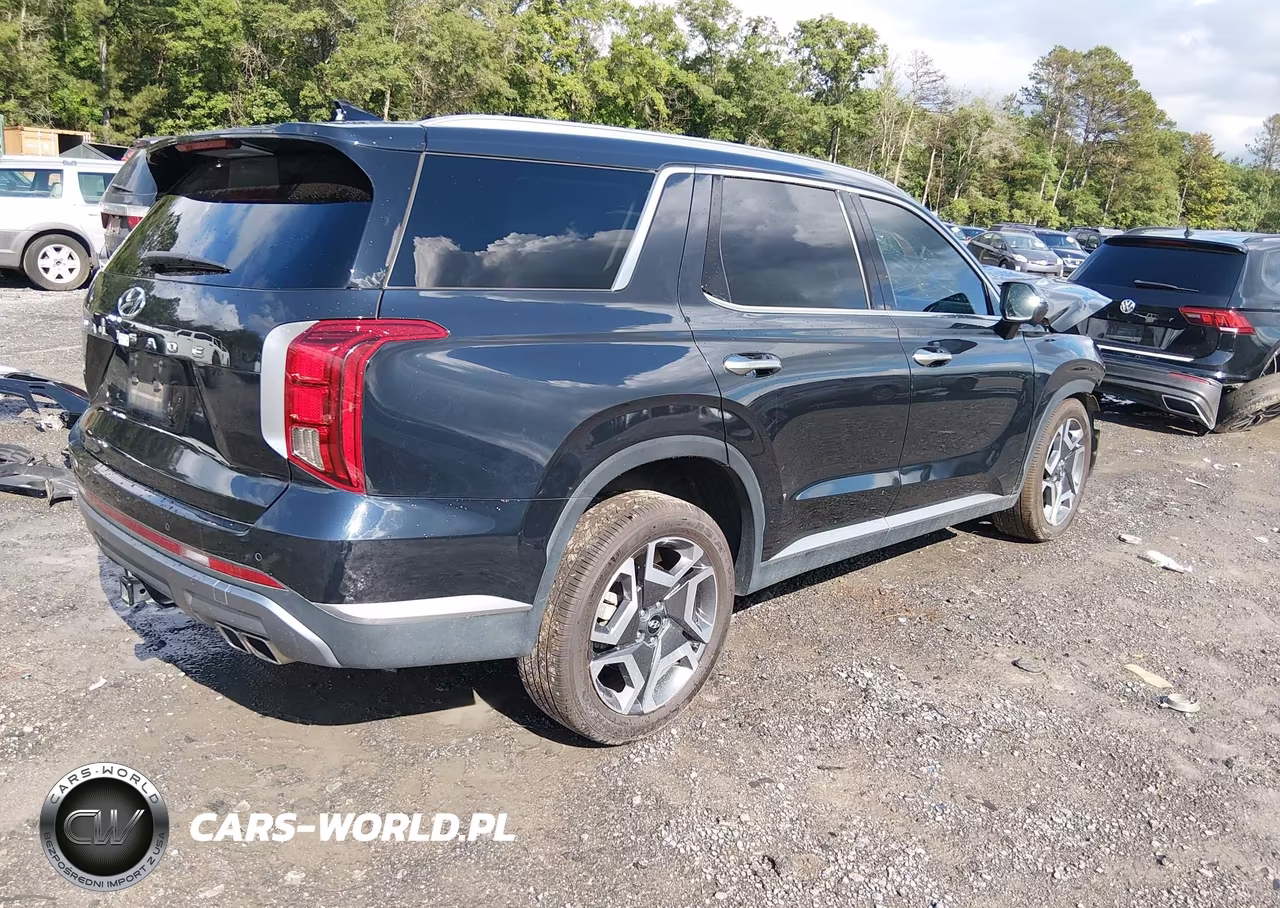 2024 Hyundai Palisade Sel VIN:KM8R44GE6RU791768 - 4