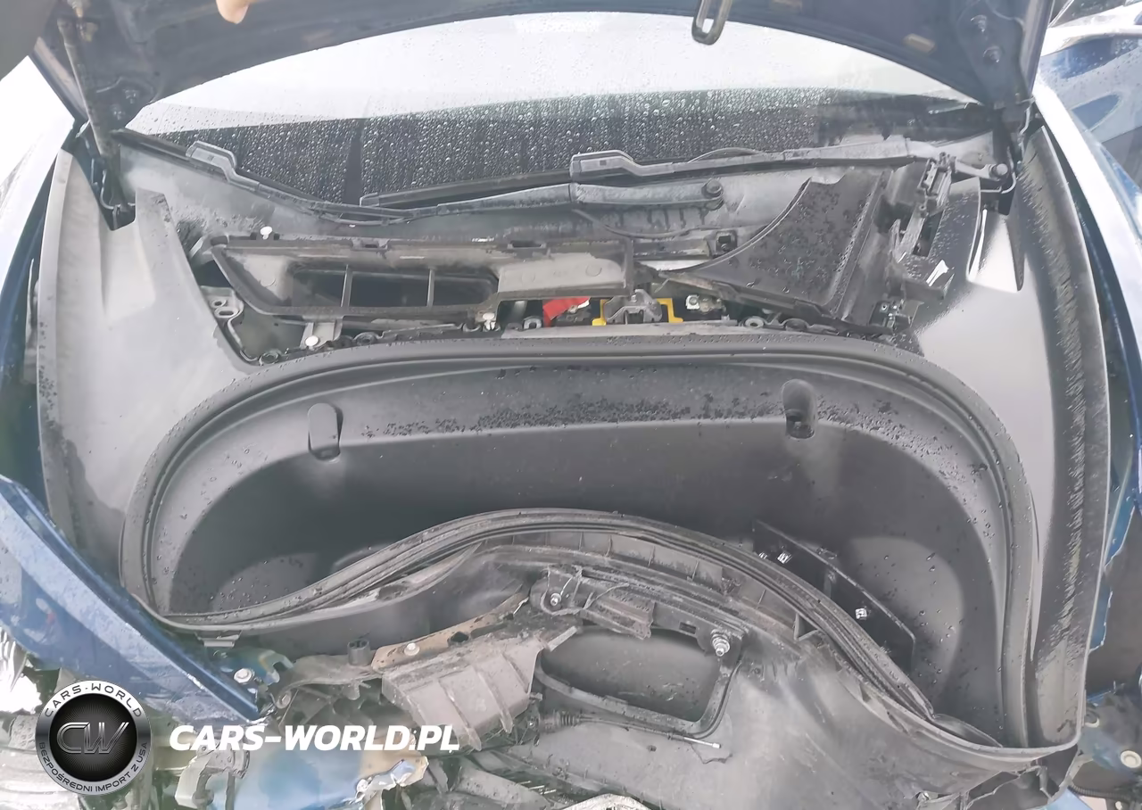 2019 Tesla Model 3 Long Range-Mid Range-Standard Range-Standard Range Plus VIN:5YJ3E1EA3KF402184 - 10