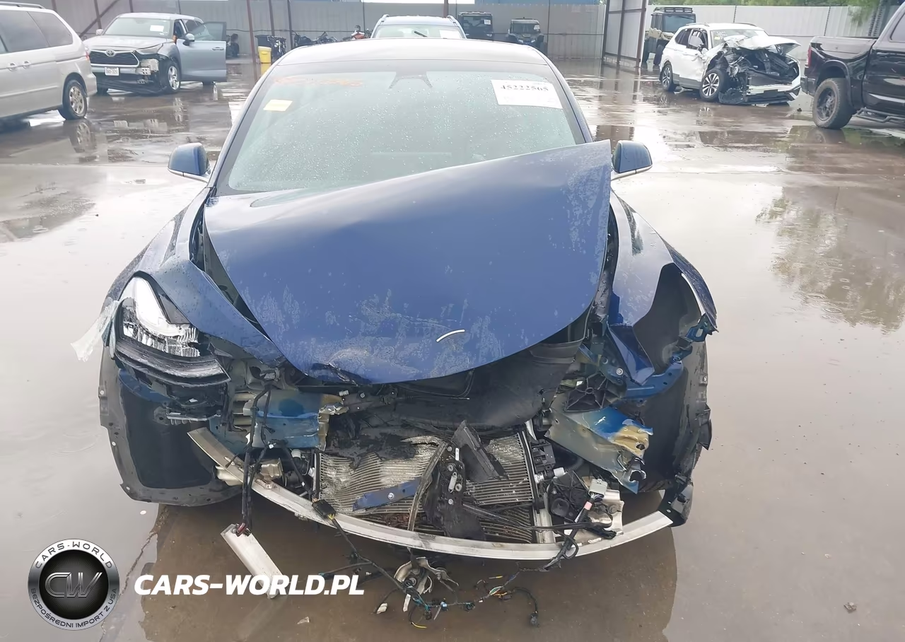 2019 Tesla Model 3 Long Range-Mid Range-Standard Range-Standard Range Plus VIN:5YJ3E1EA3KF402184 - 12