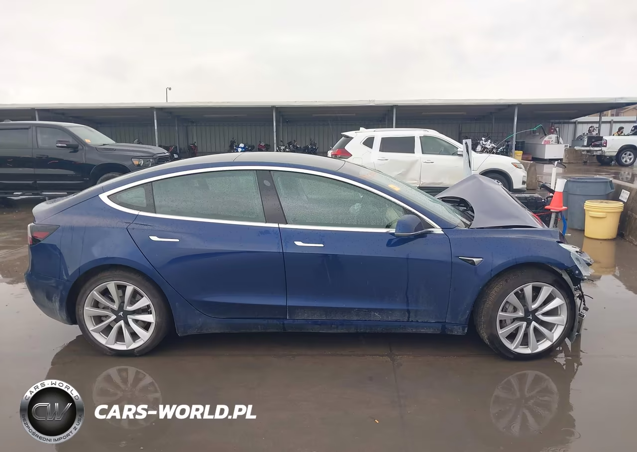 2019 Tesla Model 3 Long Range-Mid Range-Standard Range-Standard Range Plus VIN:5YJ3E1EA3KF402184 - 13
