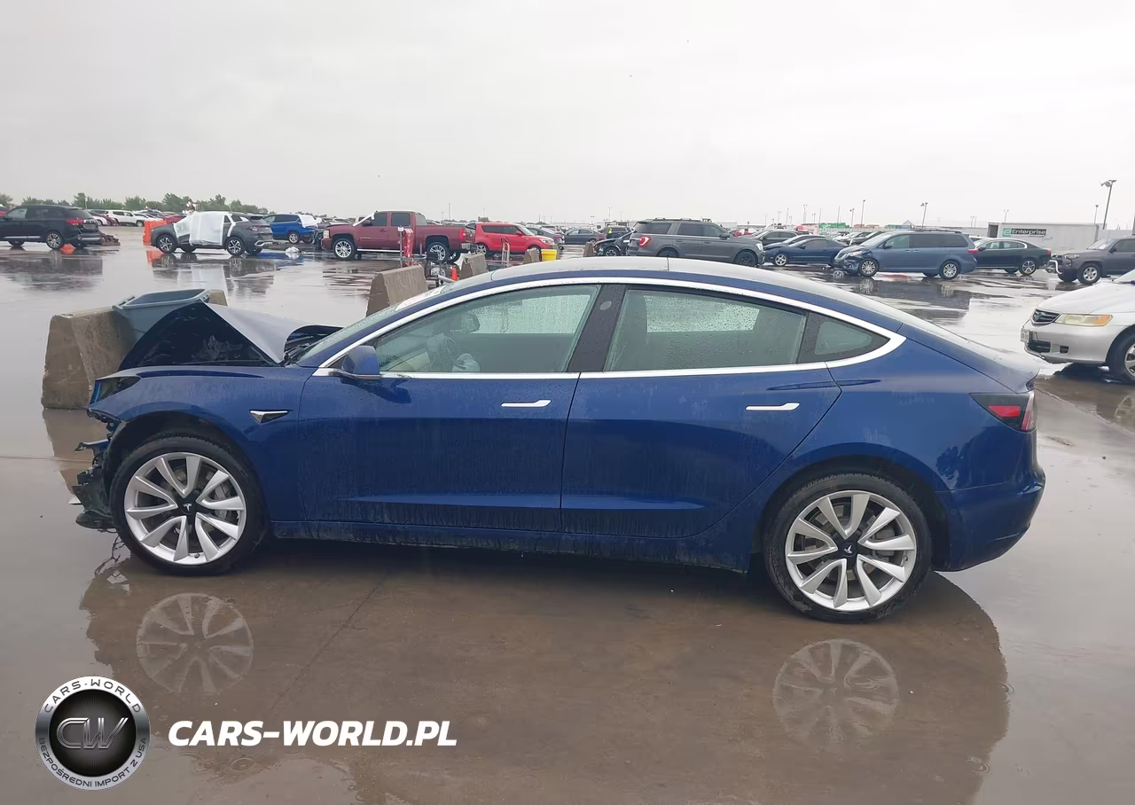 2019 Tesla Model 3 Long Range-Mid Range-Standard Range-Standard Range Plus VIN:5YJ3E1EA3KF402184 - 14