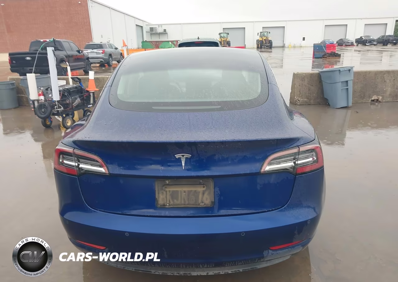 2019 Tesla Model 3 Long Range-Mid Range-Standard Range-Standard Range Plus VIN:5YJ3E1EA3KF402184 - 16