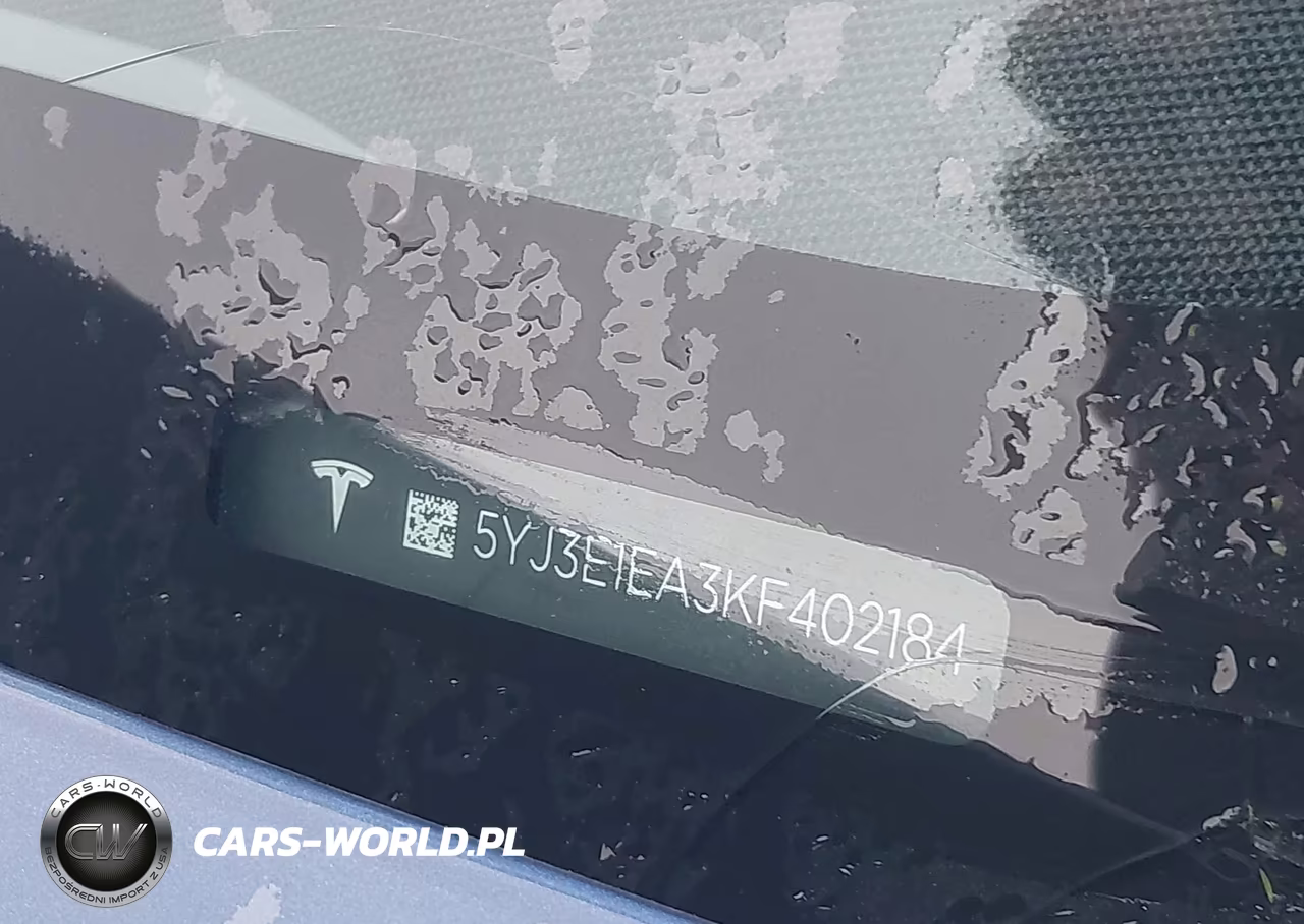 2019 Tesla Model 3 Long Range-Mid Range-Standard Range-Standard Range Plus VIN:5YJ3E1EA3KF402184 - 19