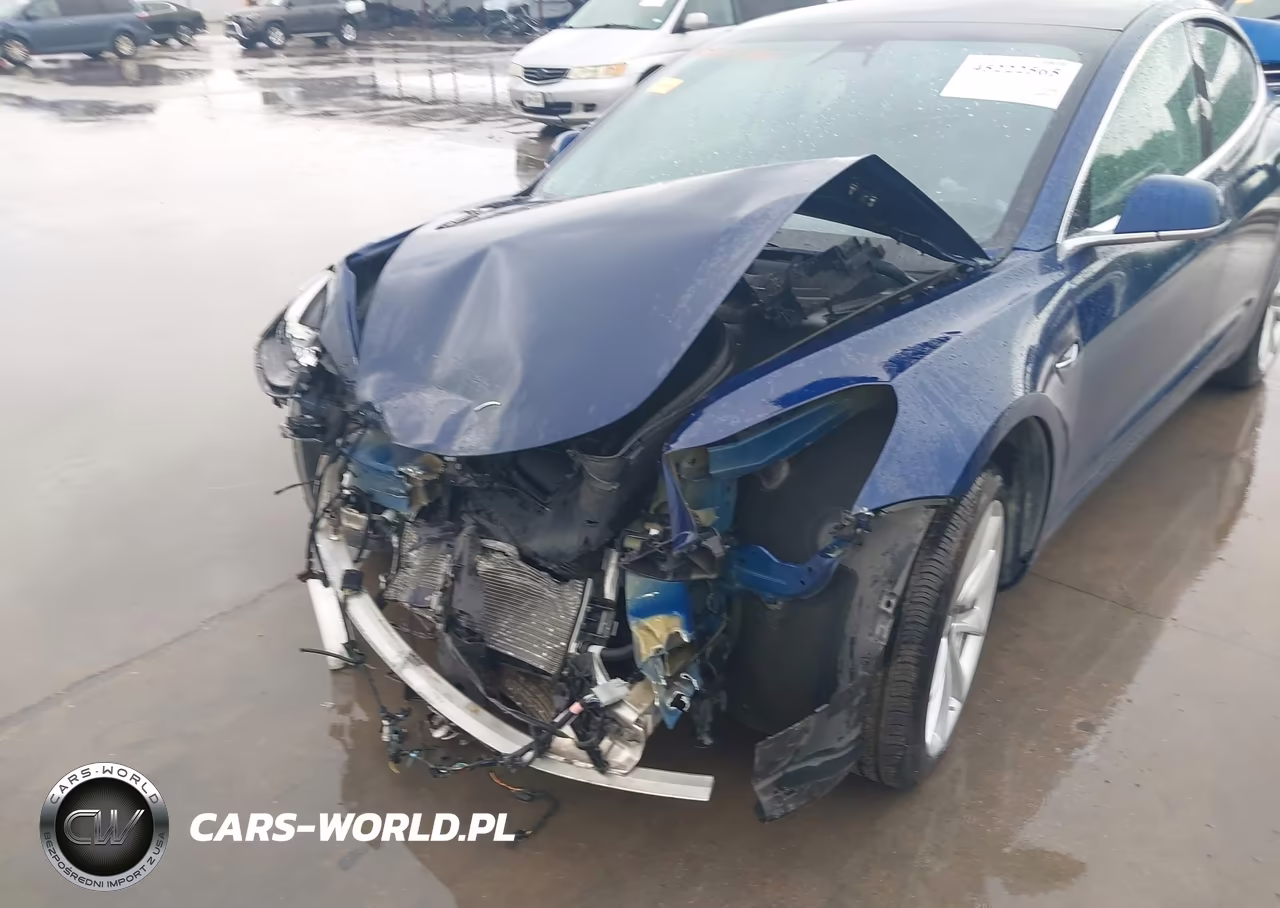 2019 Tesla Model 3 Long Range-Mid Range-Standard Range-Standard Range Plus VIN:5YJ3E1EA3KF402184 - 6