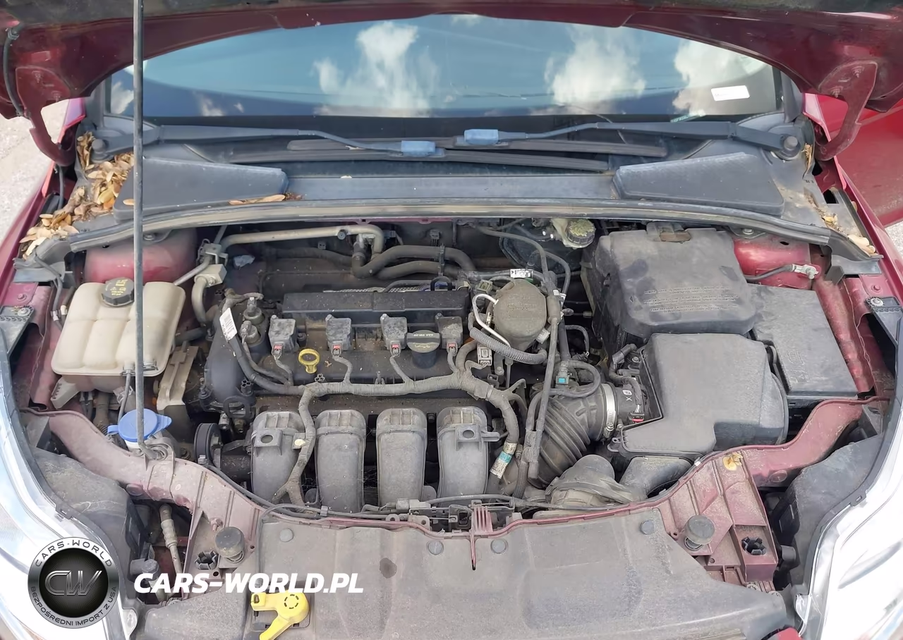 2014 Ford Focus Se VIN:1FADP3K25EL119896 - 10
