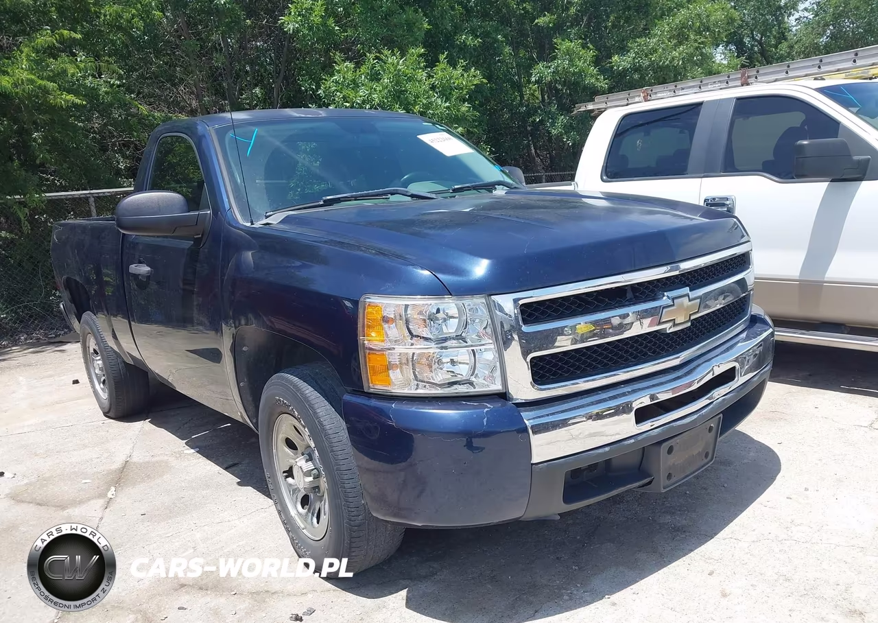 2010 Chevrolet Silverado 1500 Work Truck