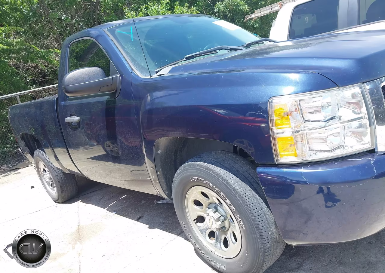2010 Chevrolet Silverado 1500 Work Truck VIN:1GCPCPEX9AZ285069 - 13