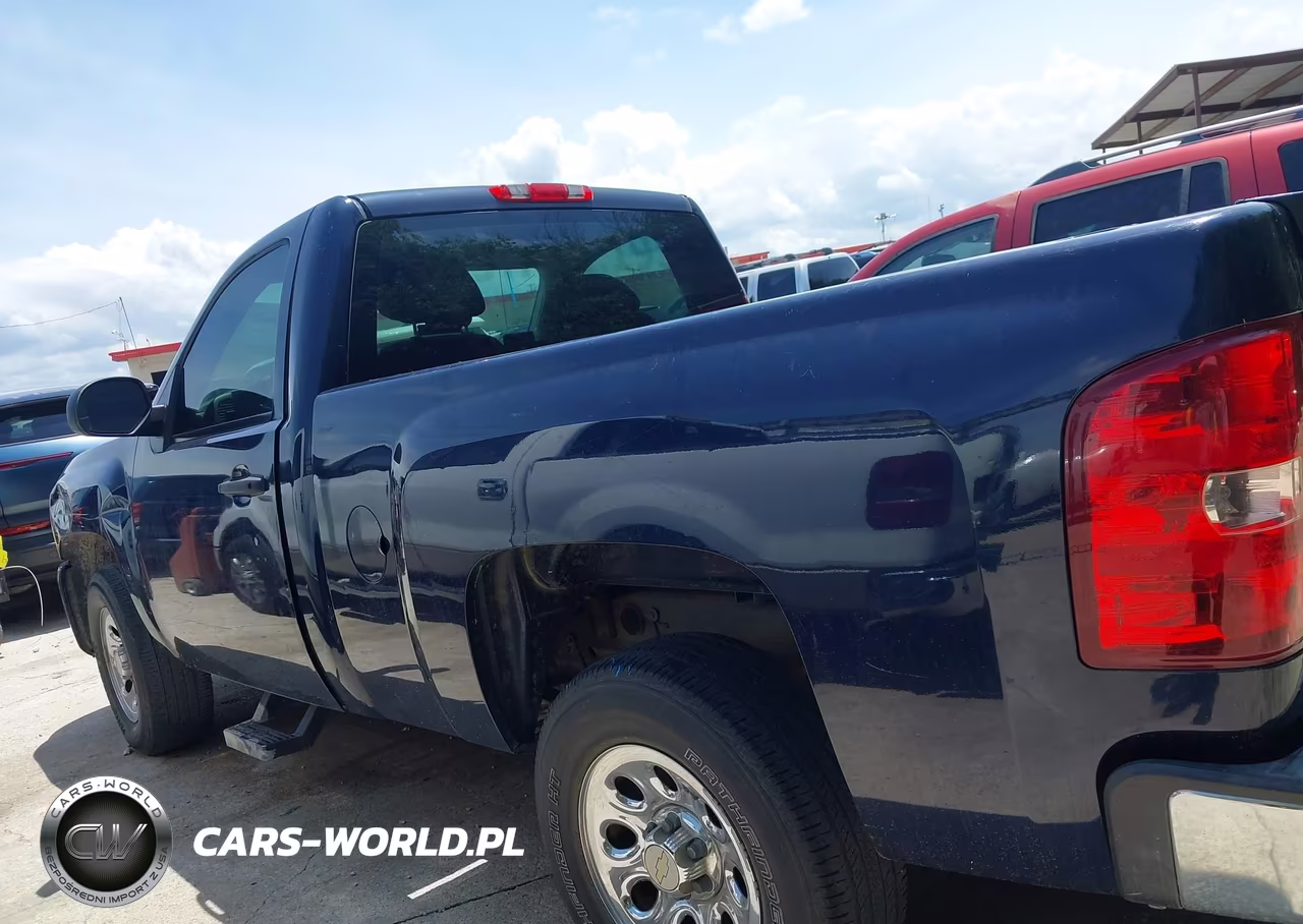 2010 Chevrolet Silverado 1500 Work Truck VIN:1GCPCPEX9AZ285069 - 14
