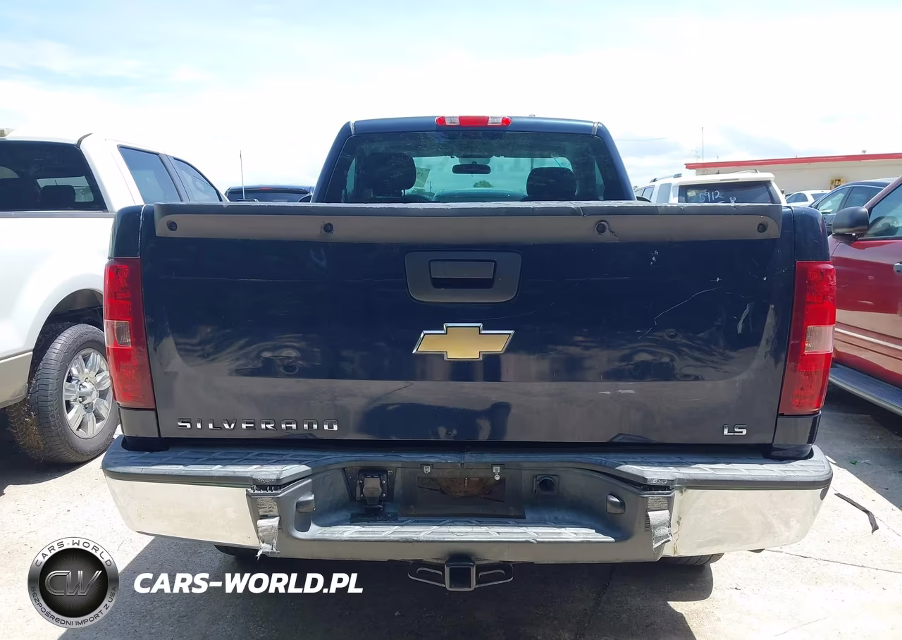2010 Chevrolet Silverado 1500 Work Truck VIN:1GCPCPEX9AZ285069 - 16