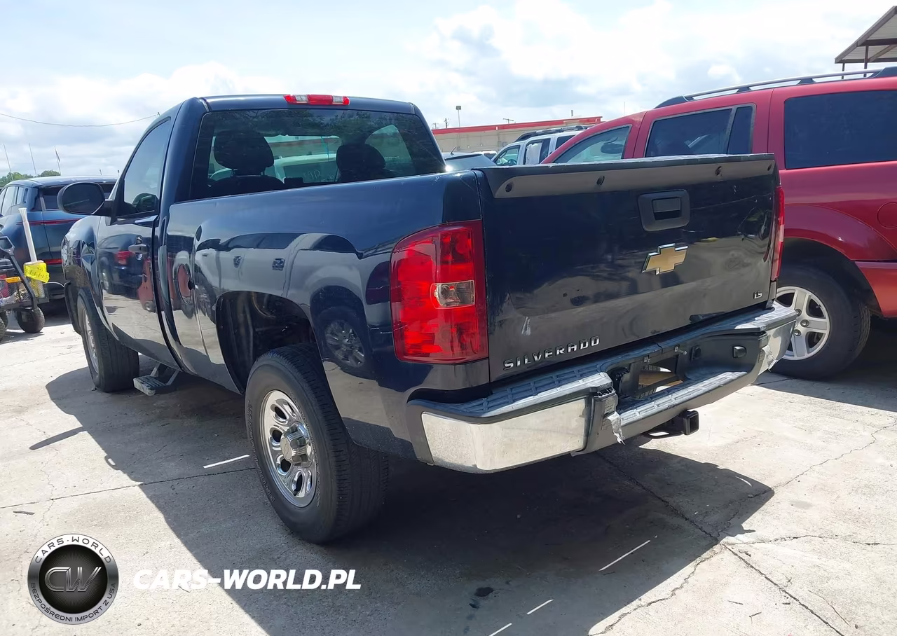 2010 Chevrolet Silverado 1500 Work Truck VIN:1GCPCPEX9AZ285069 - 3