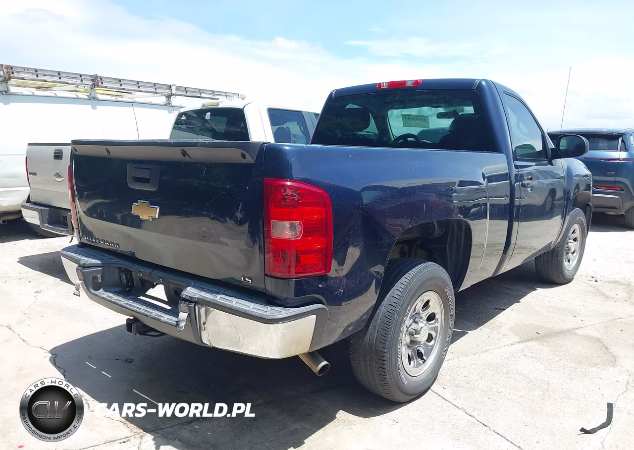 2010 Chevrolet Silverado 1500 Work Truck VIN:1GCPCPEX9AZ285069 - 4
