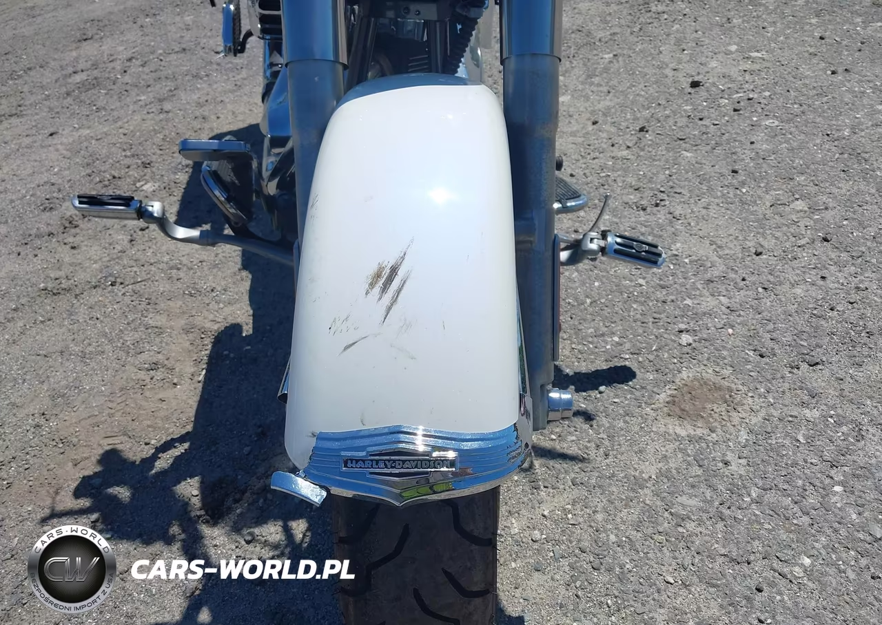 2005 Harley-Davidson Flstni VIN:1HD1JDB185Y086311 - 15