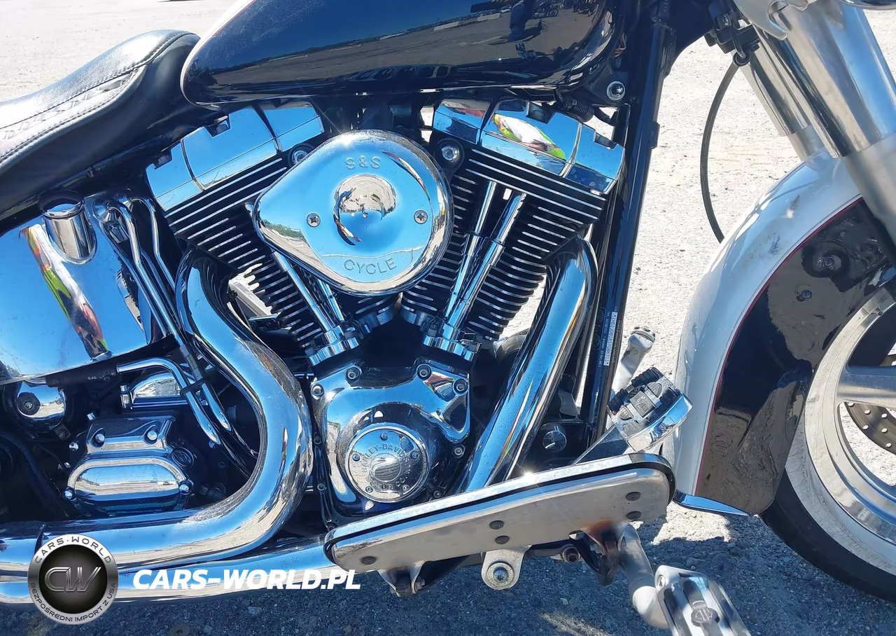 2005 Harley-Davidson Flstni VIN:1HD1JDB185Y086311 - 8