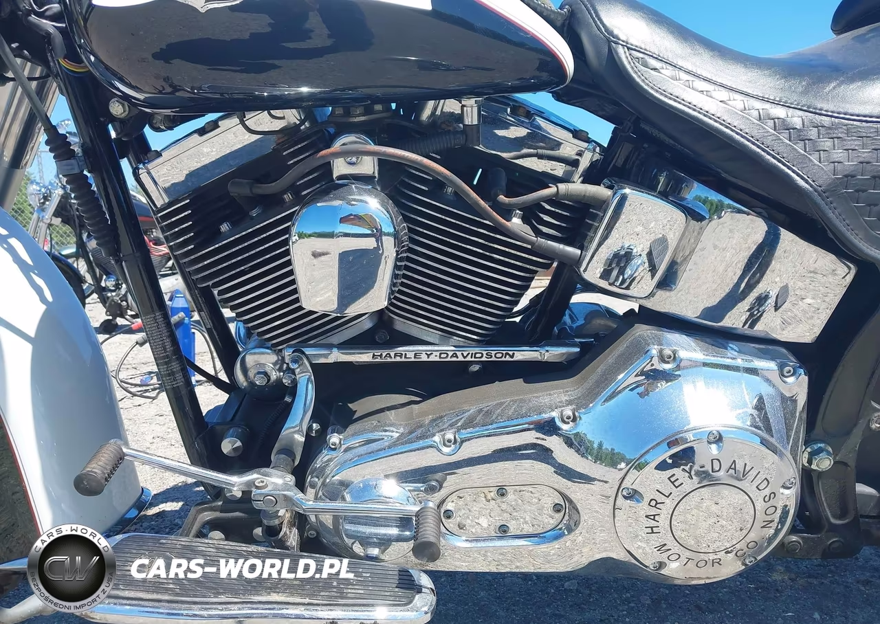 2005 Harley-Davidson Flstni VIN:1HD1JDB185Y086311 - 9