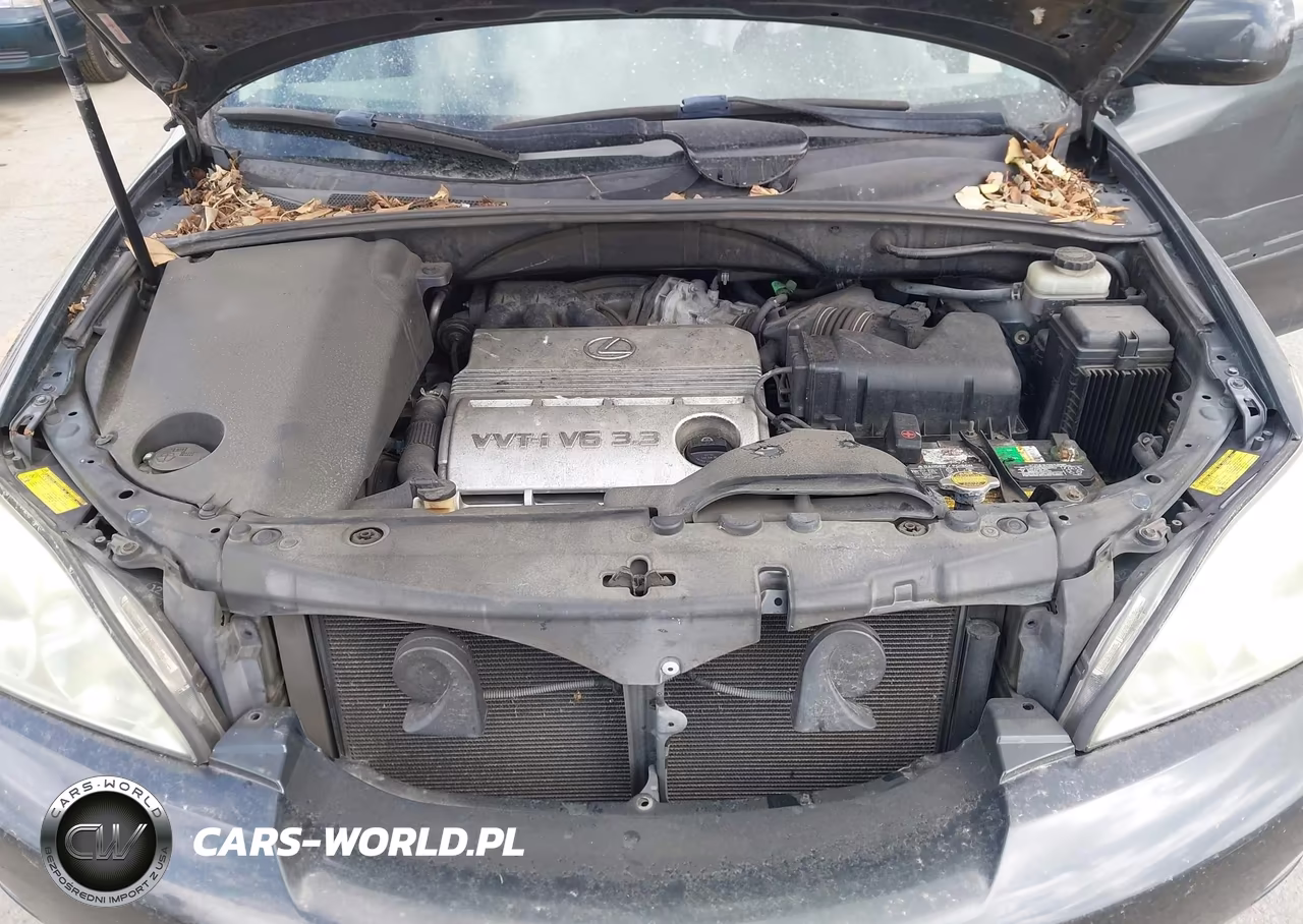2005 Lexus Rx 330 VIN:JTJGA31U850049384 - 10
