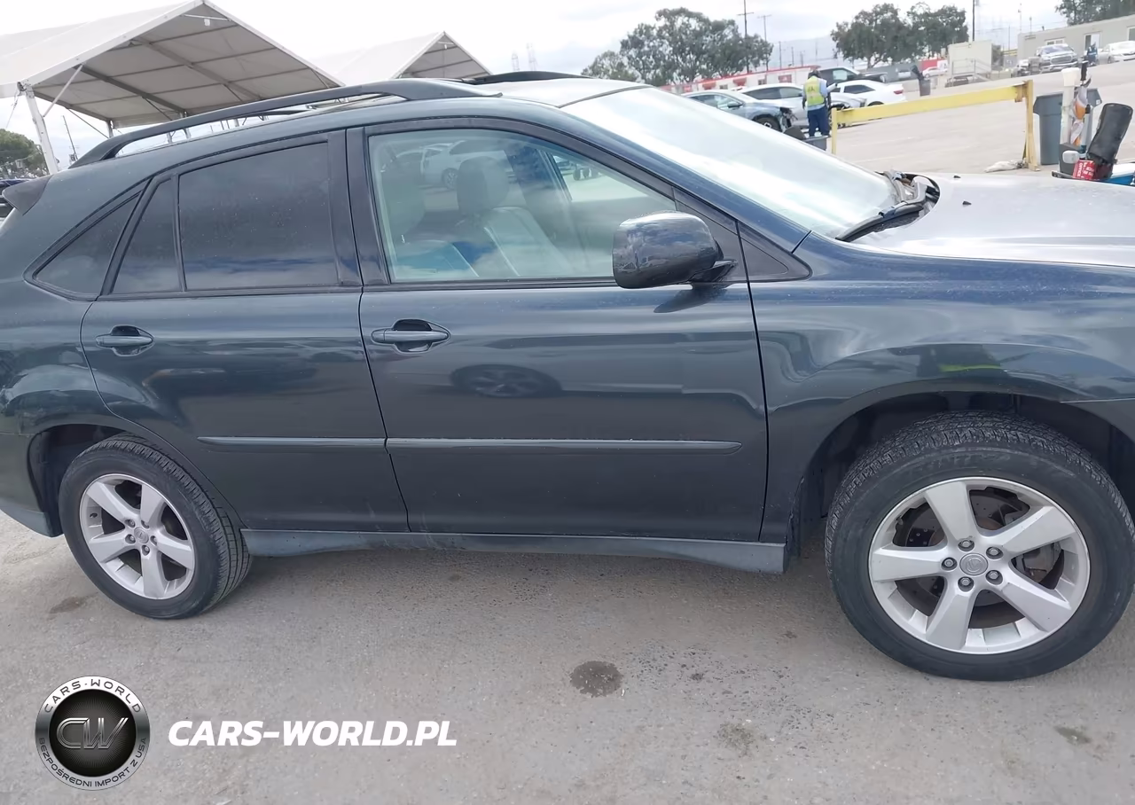 2005 Lexus Rx 330 VIN:JTJGA31U850049384 - 13