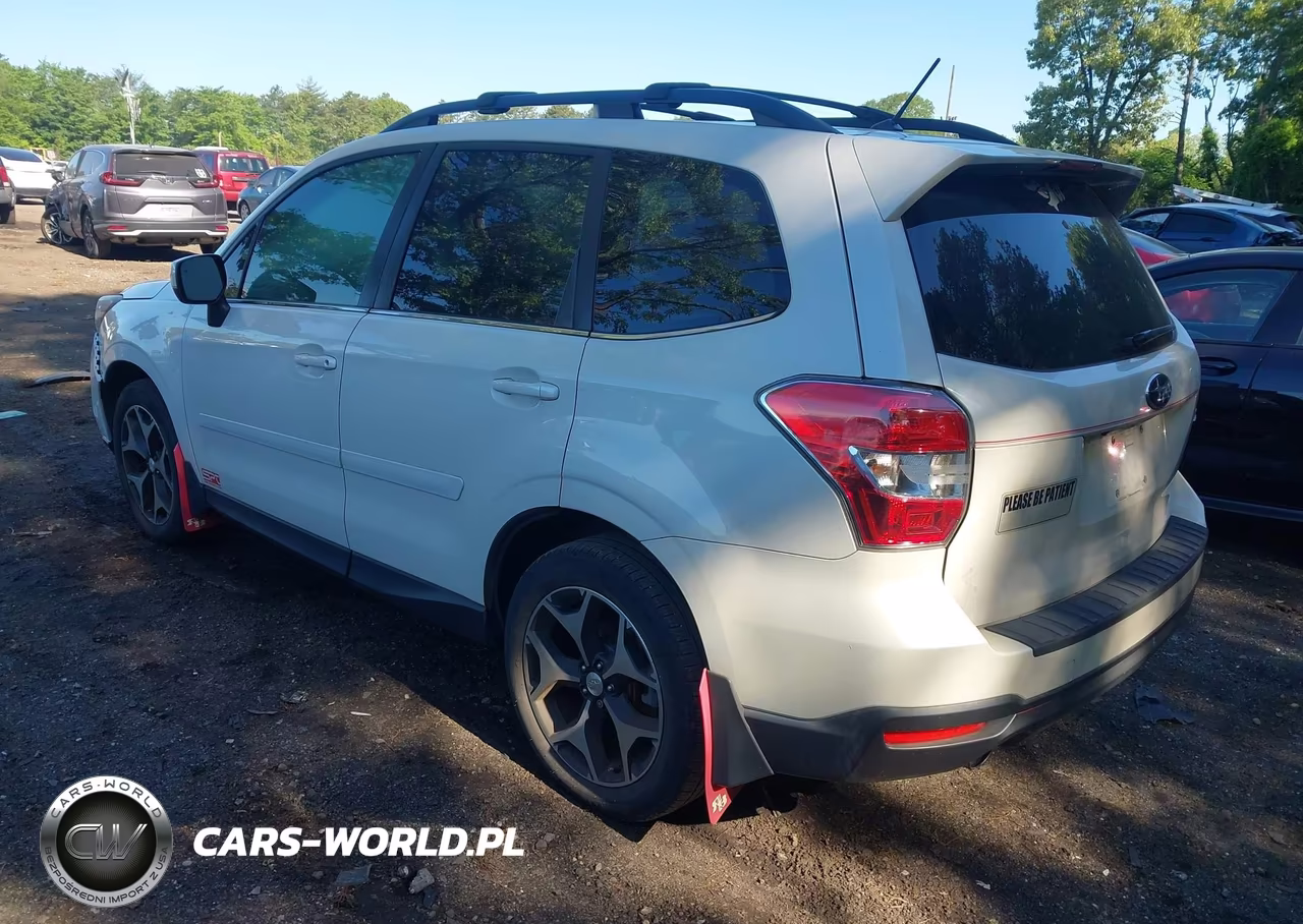 2015 Subaru Forester 2.0Xt Premium VIN:JF2SJGDC6FH505944 - 3
