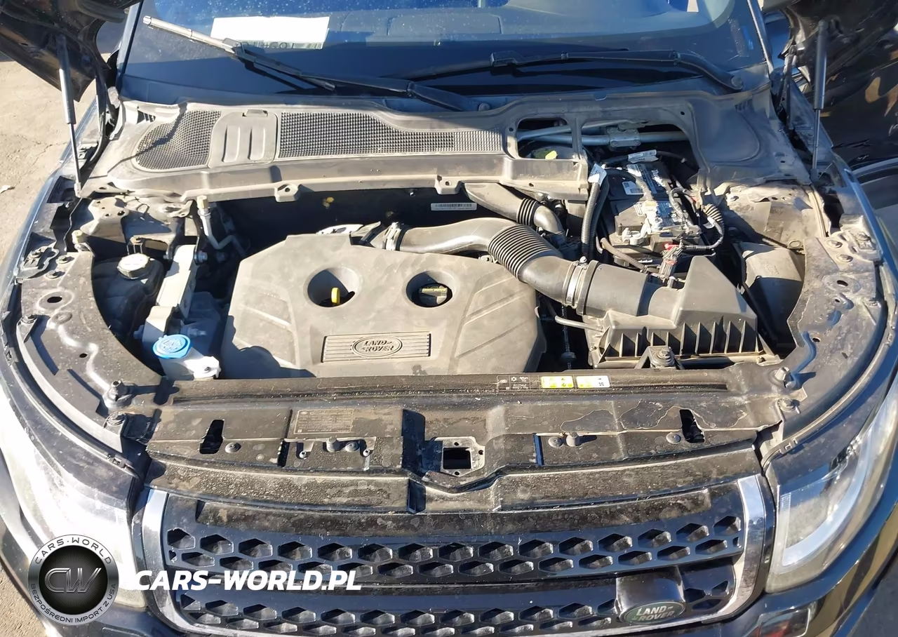 2016 Land Rover Range Rover Evoque Se-Se Premium VIN:SALVP2BG5GH144610 - 10