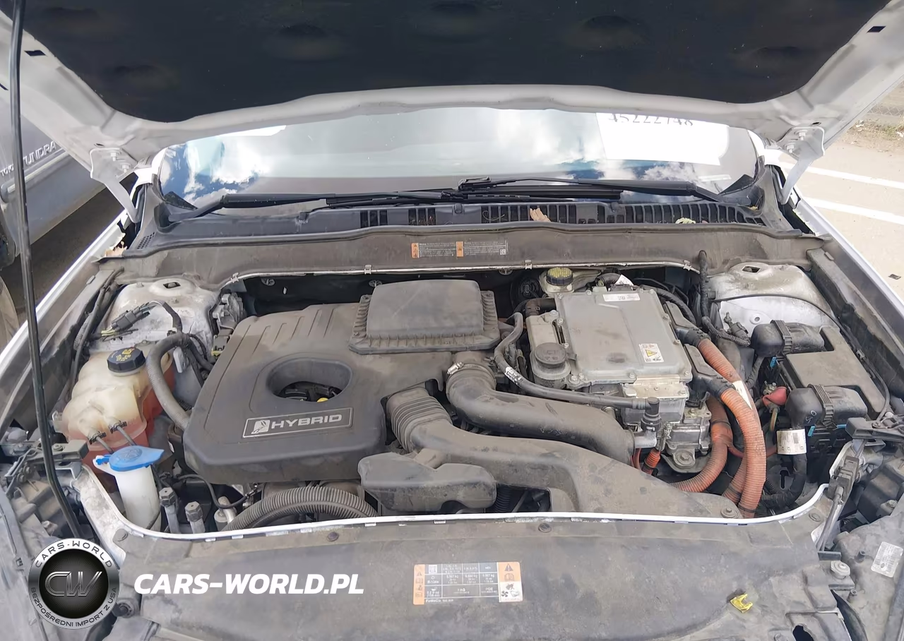 2016 Ford Fusion Hybrid Se VIN:3FA6P0LU3GR357984 - 10