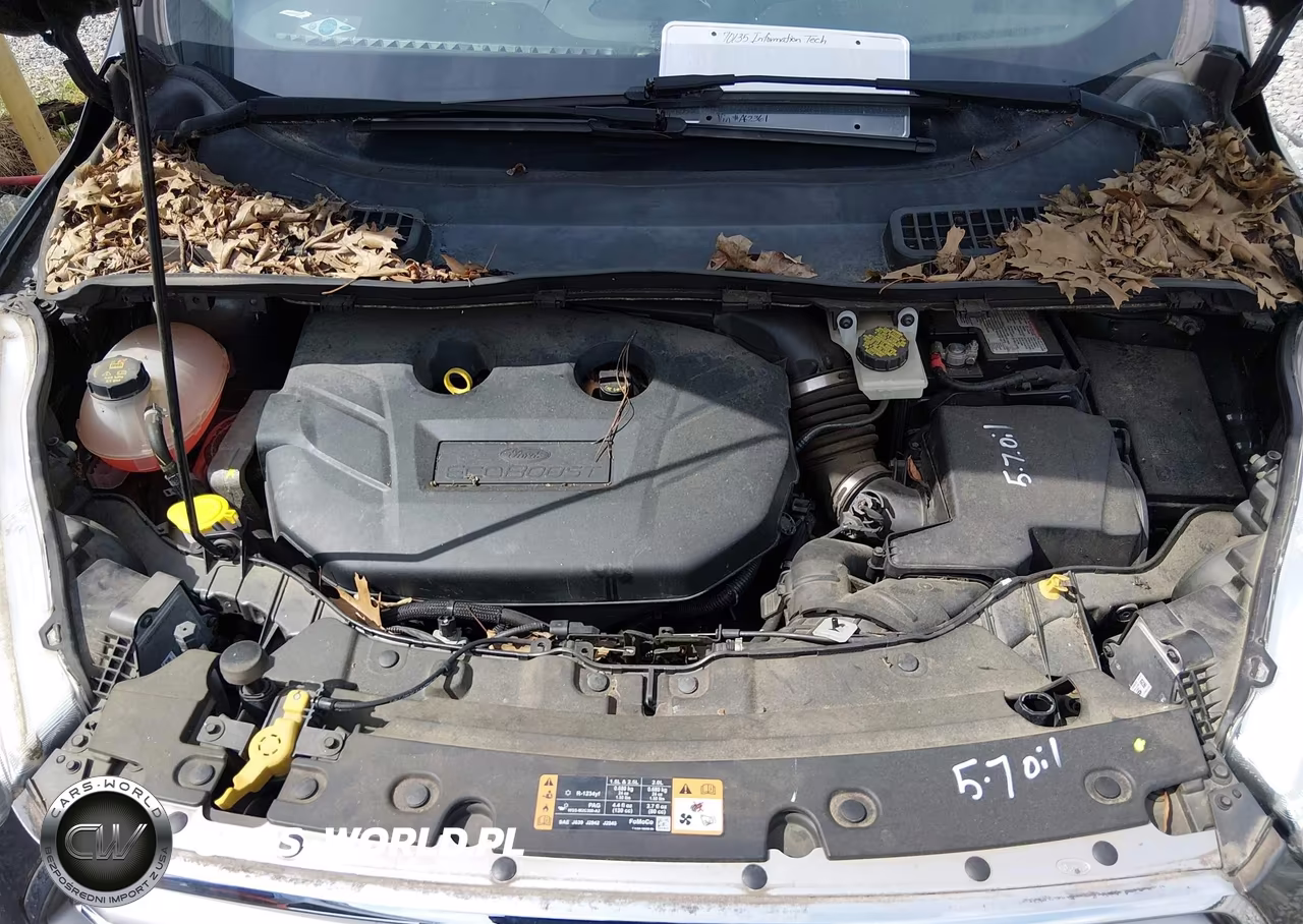 2017 Ford Escape Se VIN:1FMCU0G92HUA62361 - 10