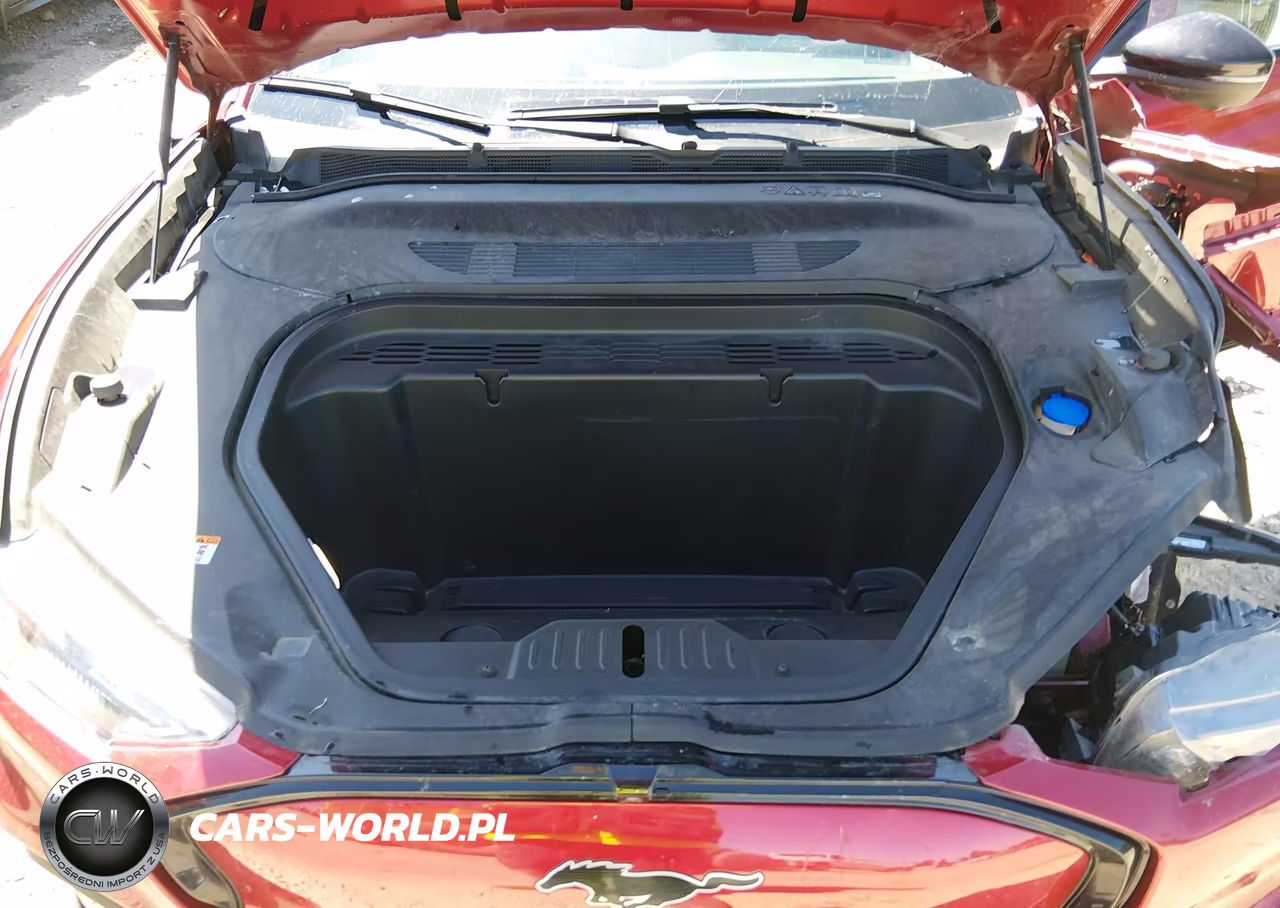 2024 Ford Mustang Mach-E Premium VIN:3FMTK3SU7RMA14783 - 10