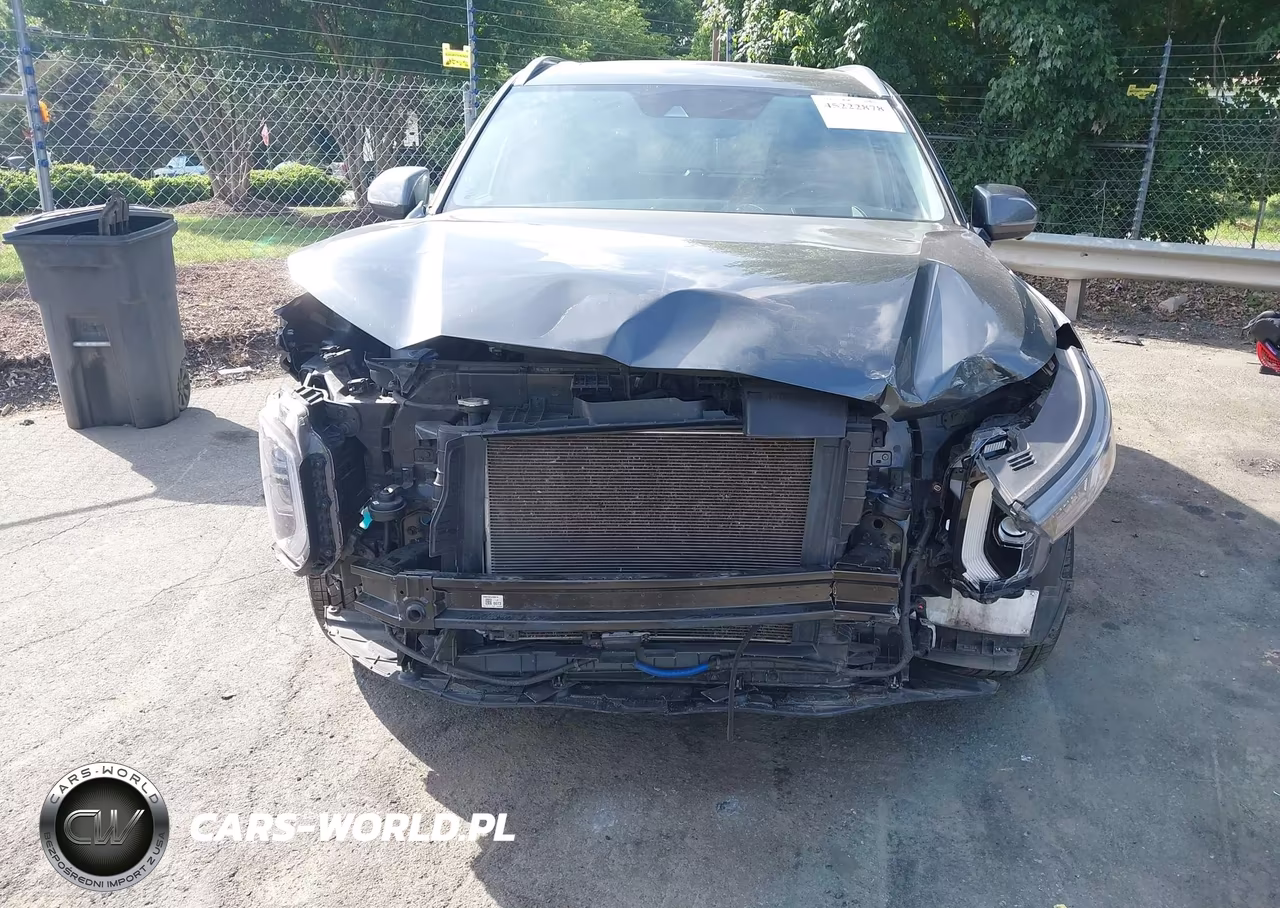 2021 Hyundai Palisade Limited VIN:KM8R5DHE4MU177757 - 13