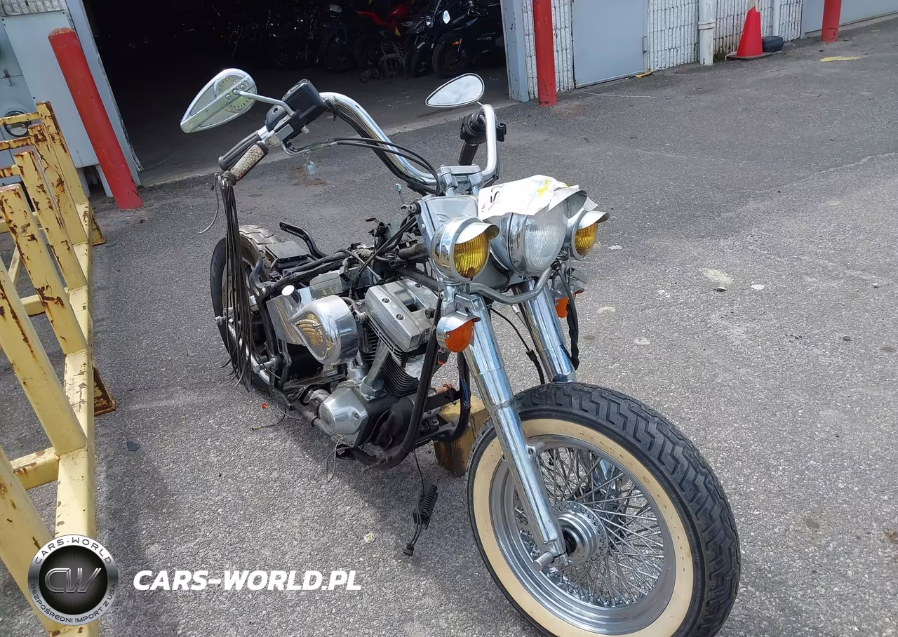 1997 Harley-Davidson Flstc