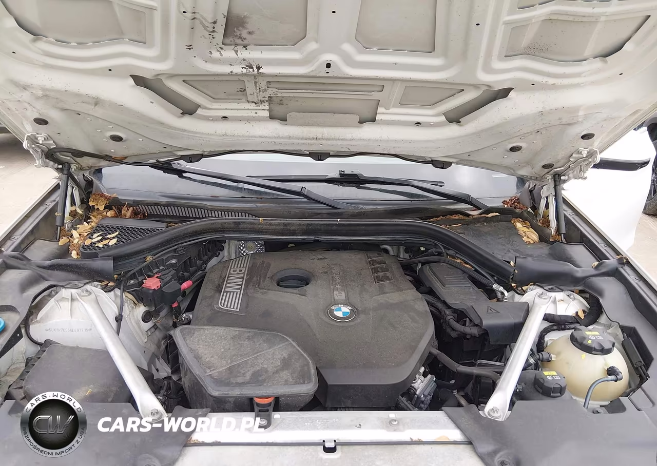 2019 BMW X3 Sdrive30I VIN:5UXTR7C55KLE97715 - 10